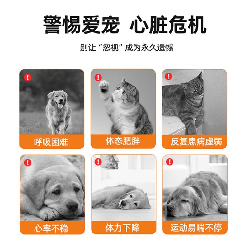 宠物辅酶Q10猫咪狗狗保护心脏肥大健康辅助调理老年猫犬用