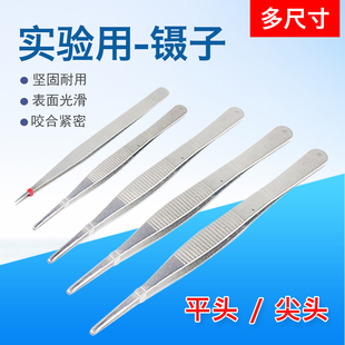 金属不锈钢镊子圆头带齿敷料镊子加厚加硬12.5 25CM厘米化学生物实验教学仪器器材