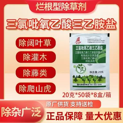 帆邦61%三氯吡氧乙酸三乙胺盐阔叶植物除草剂阔叶杂草除草剂农药
