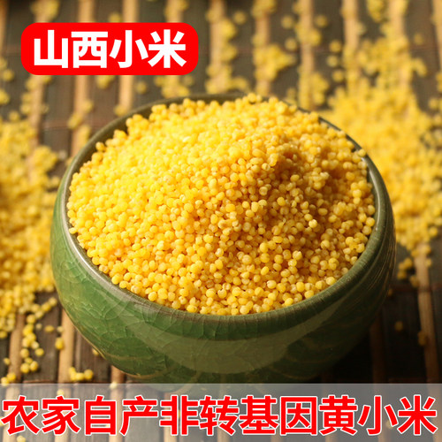 晋谷21号小米粥山西特产黄小米新米五谷杂粮新鲜小黄米粥食用糯小