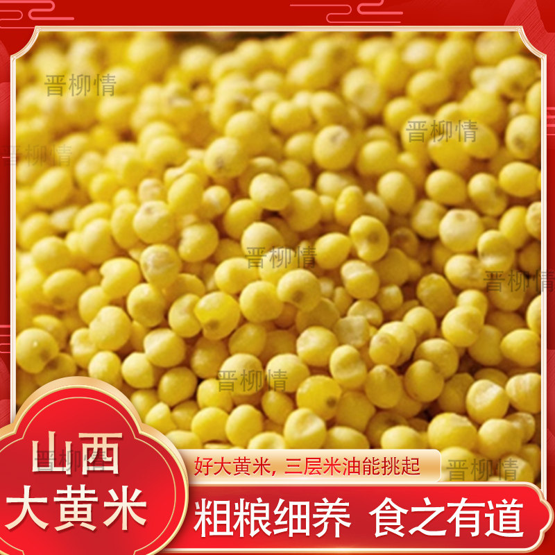 【端午包粽子专用米】山西吕梁本地正宗大黄米黄小米粽子专用米