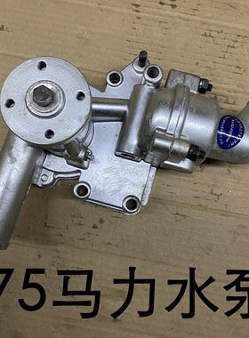 北京吉普BJ2122020Sbn492Q叉车发动机水泵总成汽油发动机配件