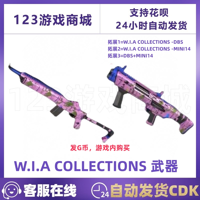 PUBG绝地求生皮肤WIA的DBS大鼻屎 MINI14 武器吃鸡G币CDK兑换码 电玩/配件/游戏/攻略 STEAM 原图主图