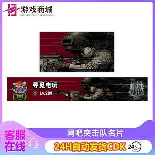 PUBG绝地求生网吧突击队名片吃鸡端游网吧静态ID卡名牌兑换码CDK
