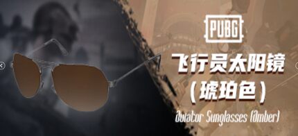 PUBG绝地求生皮肤飞行员太阳镜琥珀色眼镜steam吃鸡端游兑换码CDK