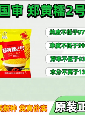 金娃娃郑黄糯2号玉米种子黄甜糯玉米种籽剥粒熬粥磨面甜糯玉米种