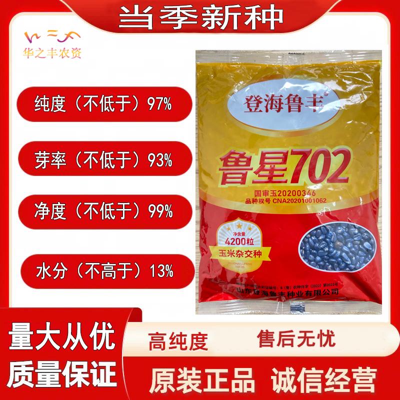 高产红轴改良基因抗虫玉米种子