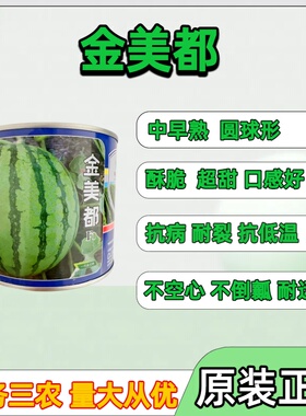 正宗金美都西瓜种子保护地露地圆形红瓤不空心不倒瓤甜西瓜种子