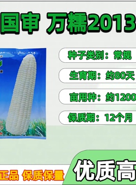 万糯2013玉米种子甜糯玉米种子粘玉米好吃正宗万糯玉米包甜糯谷种