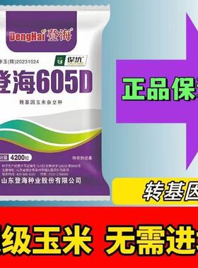 转基因双抗登海605D玉米种子抗虫抗病耐草甘膦红轴大棒原装正品