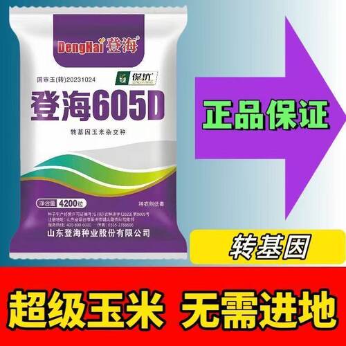 转基因双抗登海605D玉米种子