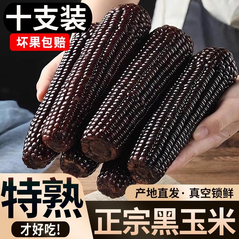 正宗东北黑玉米新鲜黑糯玉米甜粘玉米新鲜水果黄糯玉米10根大果