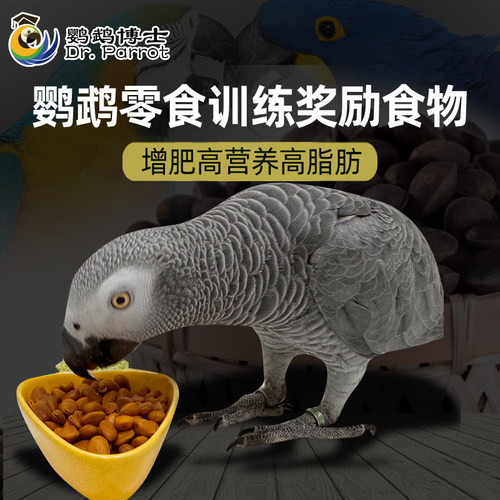 鹦鹉松子核桃零食训练奖励食物粮