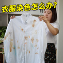 漂白剂白色衣物白衣服发黄洗白去污渍织物剥色还原剂粉去除染色
