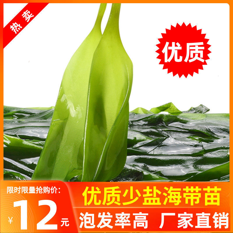 霞浦海带苗嫩特新鲜级1斤火锅食材即食裙带菜厚非干货盐渍海带芽