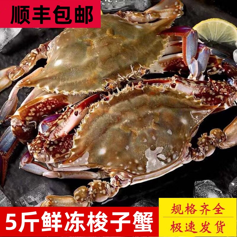 5斤梭子蟹冷冻冻蟹新鲜海蟹小飞蟹青蟹螃蟹海鲜水产批发