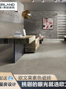 电视背景墙瓷砖900x1800欧文莱素色现代砖客厅地砖灰色QI918P6575