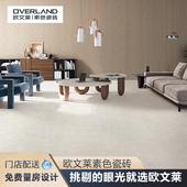 地板砖900x1800欧文莱素色现代砖客厅瓷砖地砖 YWFI918SM1231新品