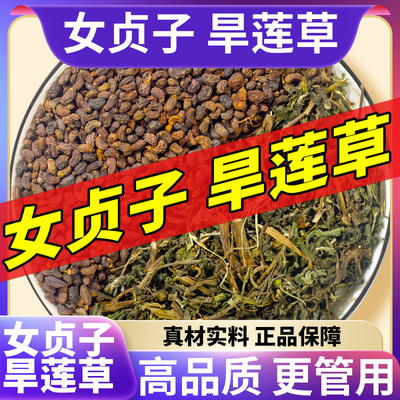 女贞子和旱莲草中药材非野生何首乌旱莲草女贞子旱莲草二至丸原料
