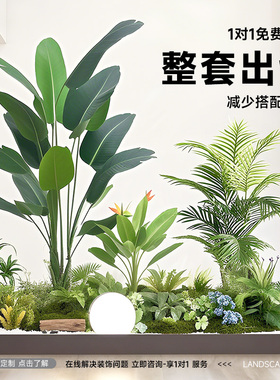 彷真绿色植物造景组合橱窗装饰假植物景观造景庭院布置玄关室内氛