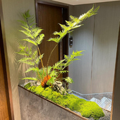 彷真绿色植物造景猴头蕨金丝蕨室内楼梯下装 饰盆栽饭厅橱窗摆件景