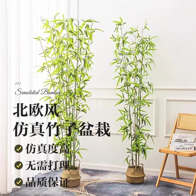 仿真竹子室内室外装饰绿植禅意隔断景观古典屏风中式装饰盆栽造景