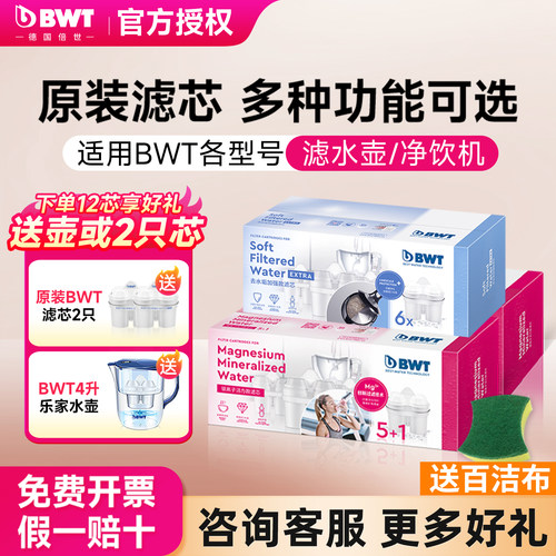 BWT滤芯原装进口倍世净水器滤芯