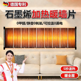德国石墨烯发热片贴墙取暖器机家用地暖带温控墙面2026新款一体板