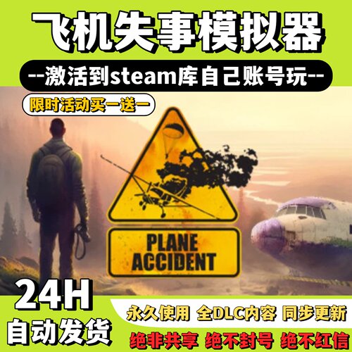 【飞机失事模拟器】Steam游戏飞机失事模拟器激活码CDKey激活入库