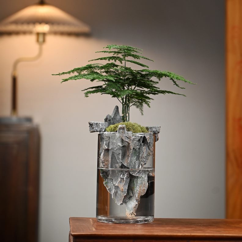 绿植盆栽植物微景观造景山生态瓶桌面创意摆件室内倒玻璃盆景苔藓