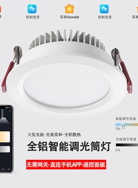 直连手机app智能筒灯涂鸦zigbee已接入米家小爱同学homekit泛光灯