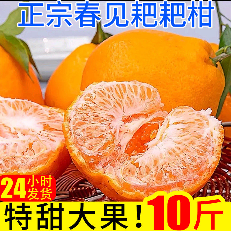 春见耙耙柑新鲜橘子蜜橘10斤桔子时令应季当季水果整箱柑橘,水产肉类/新鲜蔬果/熟食,桔子,淘宝优惠券,粉丝福利购,淘宝优惠卷