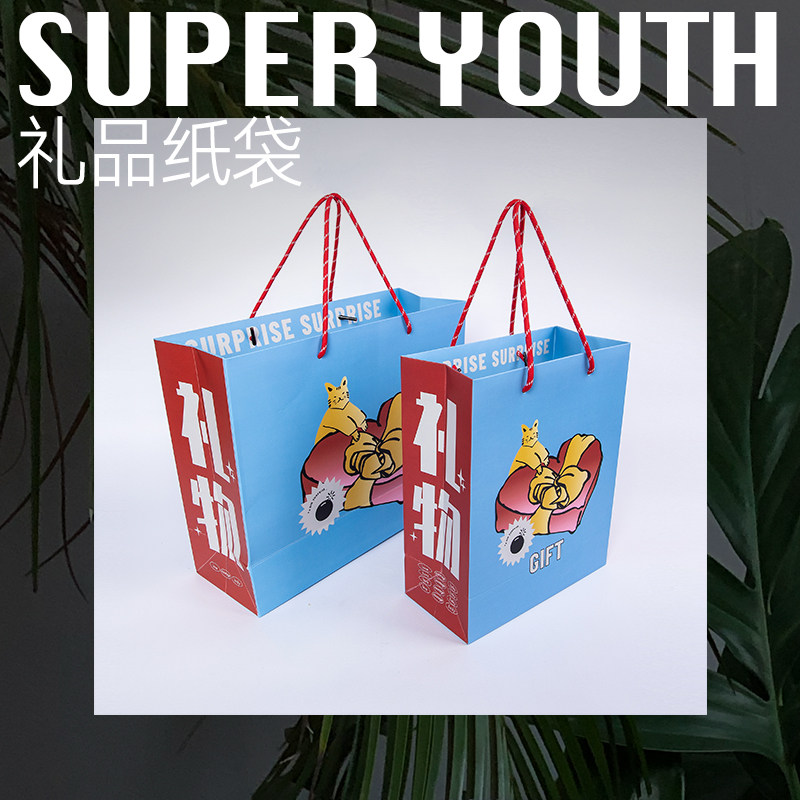 手提袋纸拎袋礼品袋ins高档礼物包装袋原创插画设计印刷logo定制