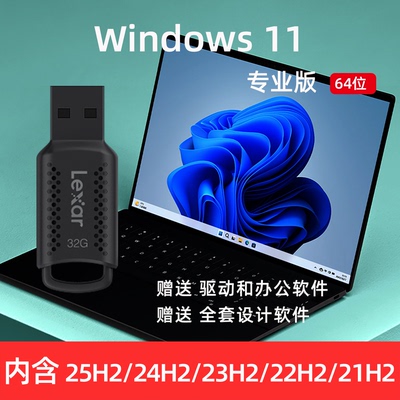 纯净版无广告系统U盘win10/11