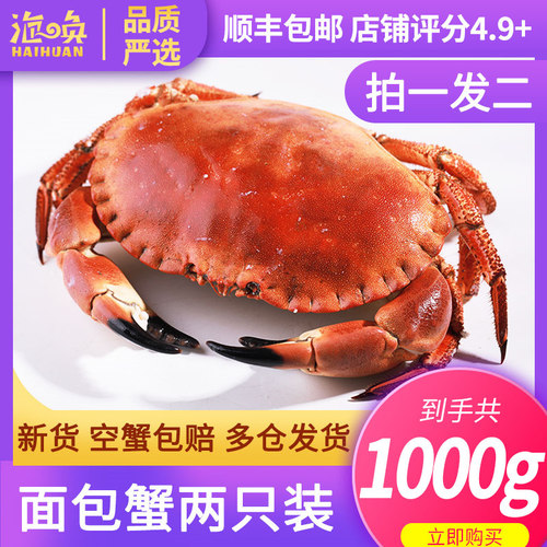 超大面包蟹熟冻黄金珍宝