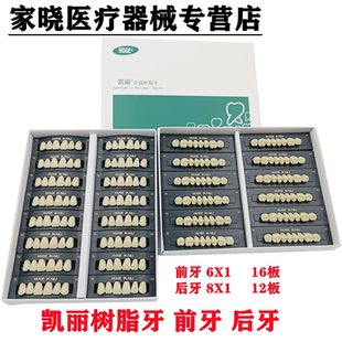 牙科口腔沪鸽凯丽合成树脂牙门牙6x1 全口沪鸽合成树脂牙 后牙8x1