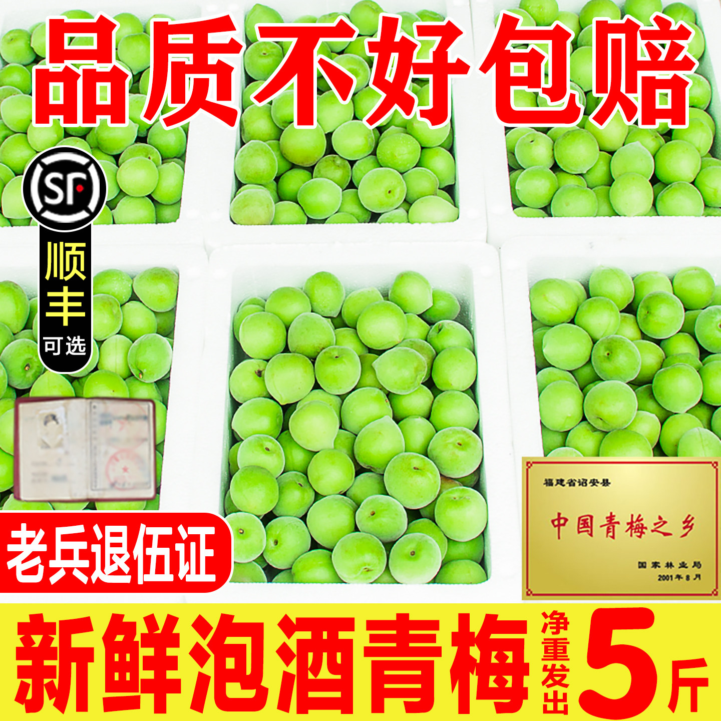 2026新鲜青梅鲜果现摘云南高山野生泡酒水果青梅露孕妇生酸脆梅子