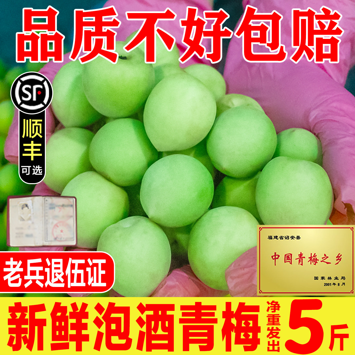 2026新鲜青梅鲜果现摘云南高山野生泡酒水果青梅露孕妇生酸脆梅子