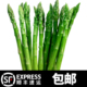 净重4斤装 新鲜蔬菜芦笋无白根嫩芦笋龙须菜