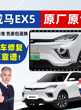 威马ex5补漆笔白色自喷漆秒白极致白淡雅白龙胆蓝云雀金e5/w6车漆