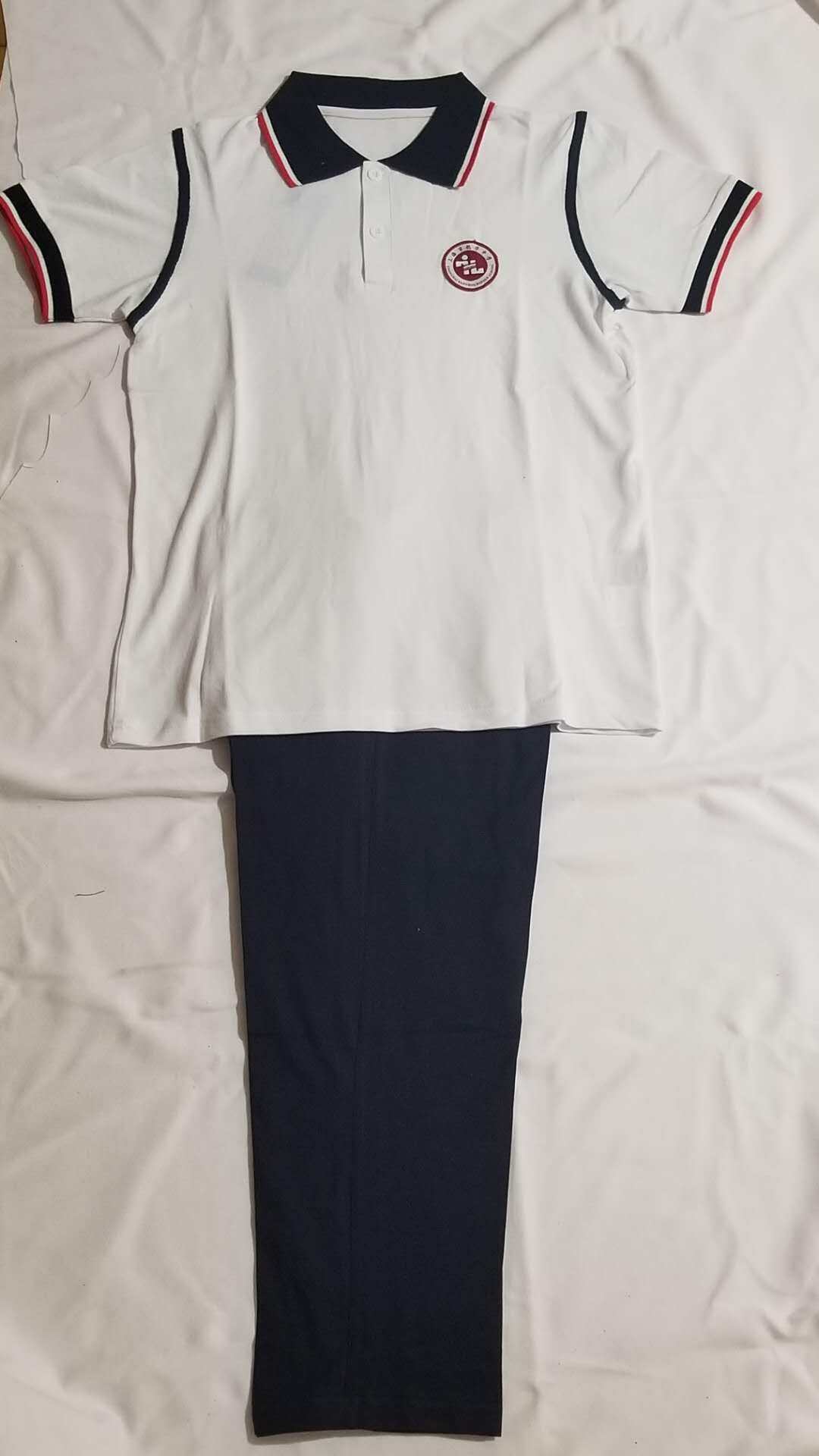 上海学生指定校服上海市闵行区航华中学(夏装)男女同款,短t长裤