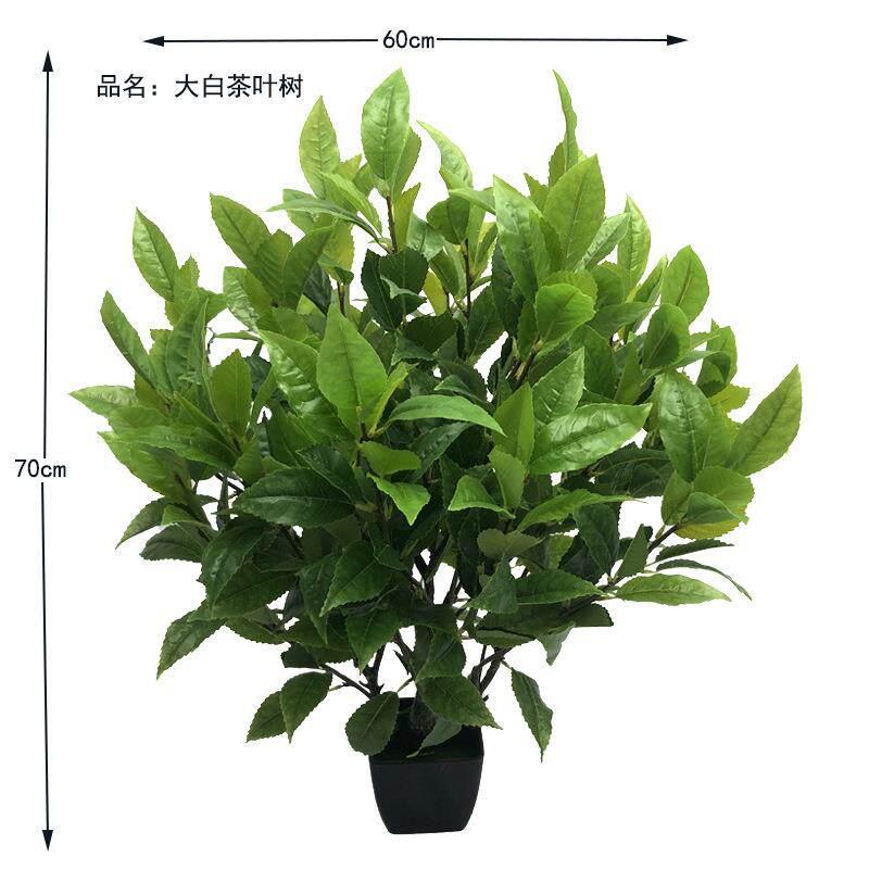 仿真植物大白茶叶盆常青程假树摄叶落地133盆栽景工拍DIY装饰