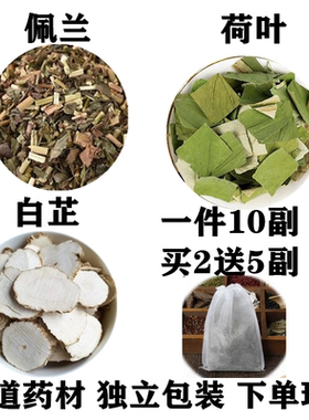 佩兰香茶 佩兰荷叶白芷粉茶湿热体质 原料组合