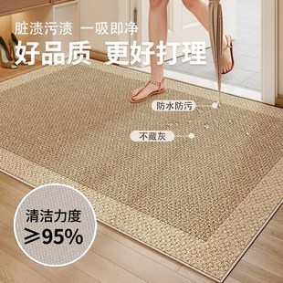 简约高级感防滑耐脏家用玄. 优选门地b垫门垫进门口脚垫子2025新款