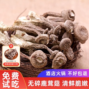 鹿茸菇干货500g云南特产新鲜鹿茸菌野生菌脆脆菇菌菇干蘑菇煲汤料
