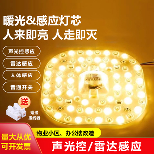 暖光led声光控雷达人体感应吸顶灯灯芯模组物业楼道改造替换光源