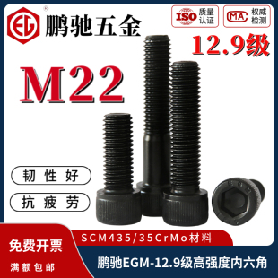 鹏驰EGM-12.9级35CrMo高强度内六角螺钉杯头圆柱头螺栓M22*30*380