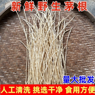 茅根新鲜野生白茅根毛根广东凉茶糖水食材竹蔗马蹄茅根水湿茅根茅