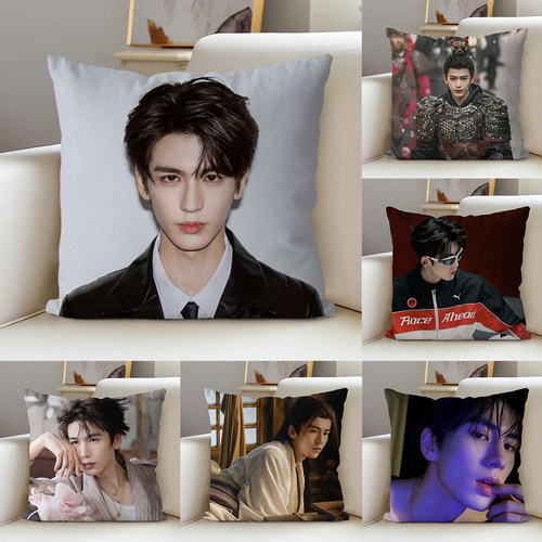 张凌赫客厅沙发抱枕照片靠垫定制