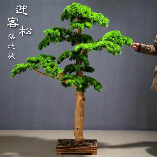 仿真迎客松大型假树新中式造景室内外崖柏绿植美人松大型落地摆件